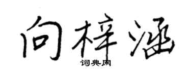 王正良向梓涵行書個性簽名怎么寫