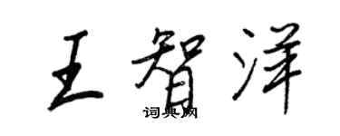 王正良王智洋行書個性簽名怎么寫