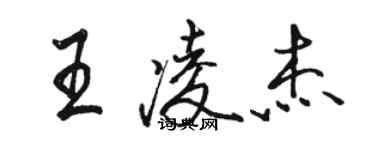 駱恆光王凌傑行書個性簽名怎么寫