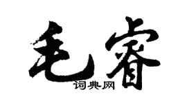 胡問遂毛睿行書個性簽名怎么寫
