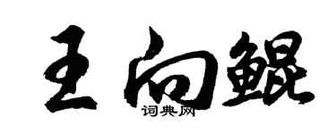 胡問遂王向鯤行書個性簽名怎么寫