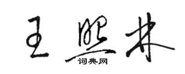 駱恆光王照林草書個性簽名怎么寫