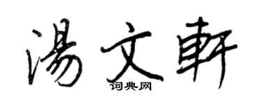 王正良湯文軒行書個性簽名怎么寫