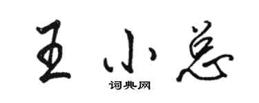 駱恆光王小總行書個性簽名怎么寫