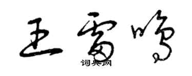 曾慶福王雷鳴草書個性簽名怎么寫