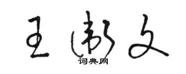 駱恆光王衛文草書個性簽名怎么寫