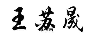 胡問遂王蘇晟行書個性簽名怎么寫