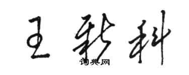 駱恆光王新科草書個性簽名怎么寫
