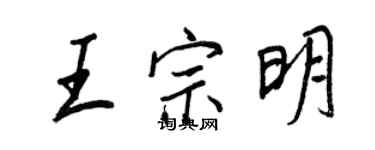 王正良王宗明行書個性簽名怎么寫