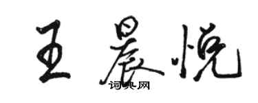 駱恆光王晨悅行書個性簽名怎么寫