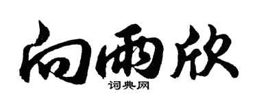 胡問遂向雨欣行書個性簽名怎么寫
