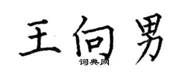 何伯昌王向男楷書個性簽名怎么寫