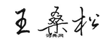駱恆光王桑松行書個性簽名怎么寫