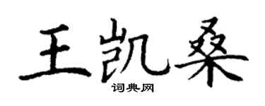 丁謙王凱桑楷書個性簽名怎么寫