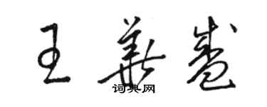 駱恆光王華盛草書個性簽名怎么寫