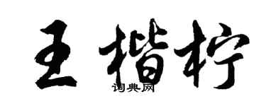胡問遂王楷檸行書個性簽名怎么寫