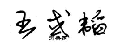 朱錫榮王或韜草書個性簽名怎么寫