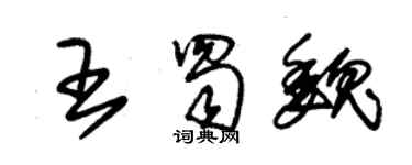 朱錫榮王蜀魏草書個性簽名怎么寫