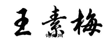 胡問遂王素梅行書個性簽名怎么寫