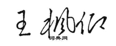 駱恆光王楓仰草書個性簽名怎么寫