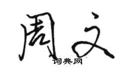 駱恆光周文行書個性簽名怎么寫