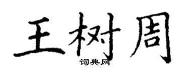 丁謙王樹周楷書個性簽名怎么寫