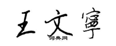 王正良王文寧行書個性簽名怎么寫