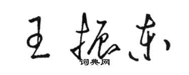 駱恆光王振東草書個性簽名怎么寫