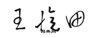 駱恆光王憶田草書個性簽名怎么寫