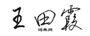 駱恆光王田霞行書個性簽名怎么寫