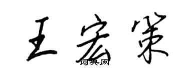 王正良王宏策行書個性簽名怎么寫