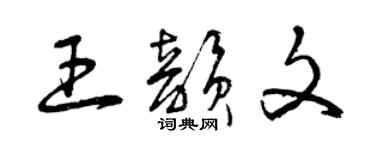 曾慶福王韻文草書個性簽名怎么寫