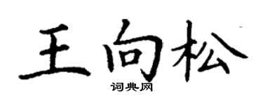 丁謙王向松楷書個性簽名怎么寫