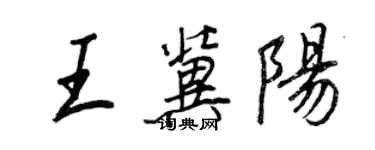 王正良王冀陽行書個性簽名怎么寫