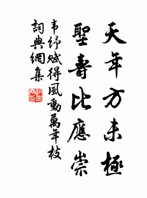 韋紓天年方未極,聖壽比應崇書法作品欣賞