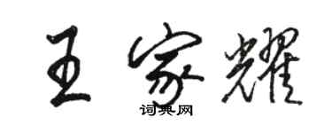 駱恆光王家耀行書個性簽名怎么寫