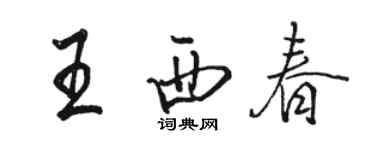 駱恆光王西春行書個性簽名怎么寫