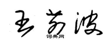 朱錫榮王前波草書個性簽名怎么寫