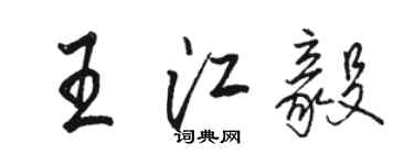 駱恆光王江毅行書個性簽名怎么寫