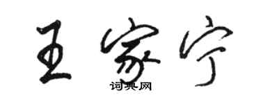 駱恆光王家寧行書個性簽名怎么寫