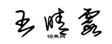 朱錫榮王晴霞草書個性簽名怎么寫
