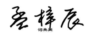 朱錫榮孟梓辰草書個性簽名怎么寫