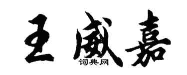 胡問遂王威嘉行書個性簽名怎么寫