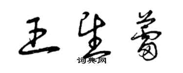 曾慶福王望蕾草書個性簽名怎么寫