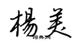 王正良楊美行書個性簽名怎么寫