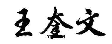 胡問遂王奎文行書個性簽名怎么寫