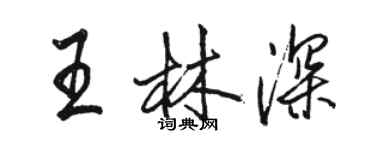 駱恆光王林深行書個性簽名怎么寫
