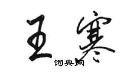 駱恆光王寒行書個性簽名怎么寫