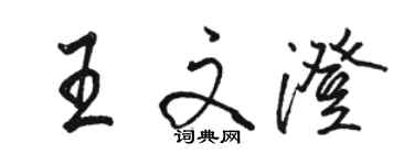 駱恆光王文澄行書個性簽名怎么寫