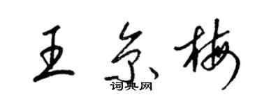 梁錦英王京梅草書個性簽名怎么寫